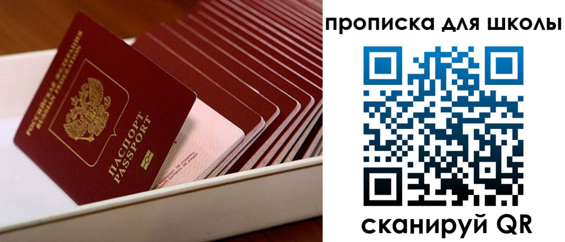 временная регистрация гарантия в Куровском